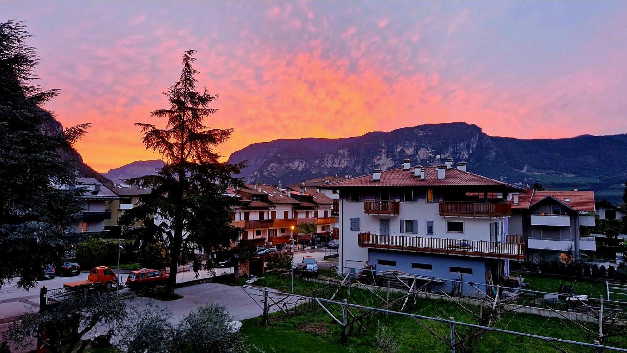 Antico Fienile Agritur Villa Mezzocorona Exterior foto